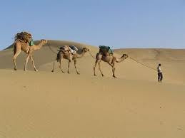 Rajasthan Tour Packages