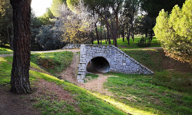 AlfonsoyAmigos - Casa de Campo