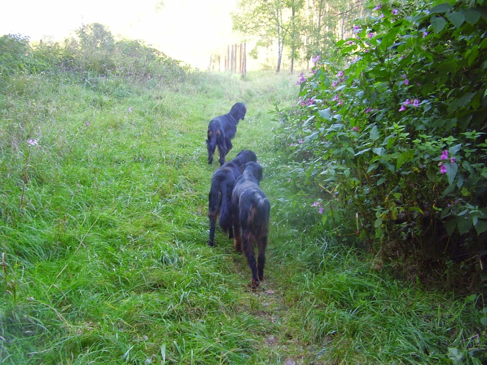 LE TRIO A L'ARRET