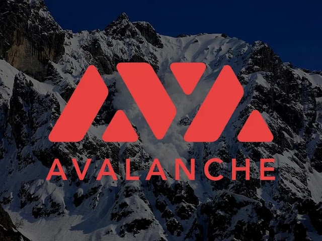 Quỹ Avalanche Tiết Lộ Sở Hữu Altcoin và Tiềm Năng Tăng Trưởng của COQ