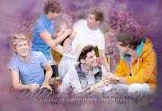 DMI of Directioners (image)