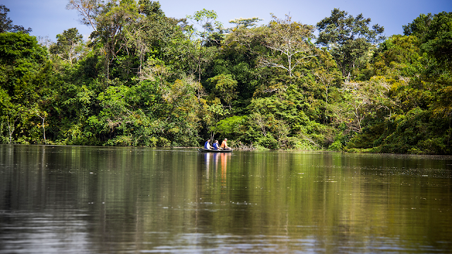 Amazon basin