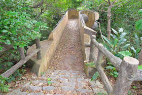 stone trail,bridge,handrails, forest