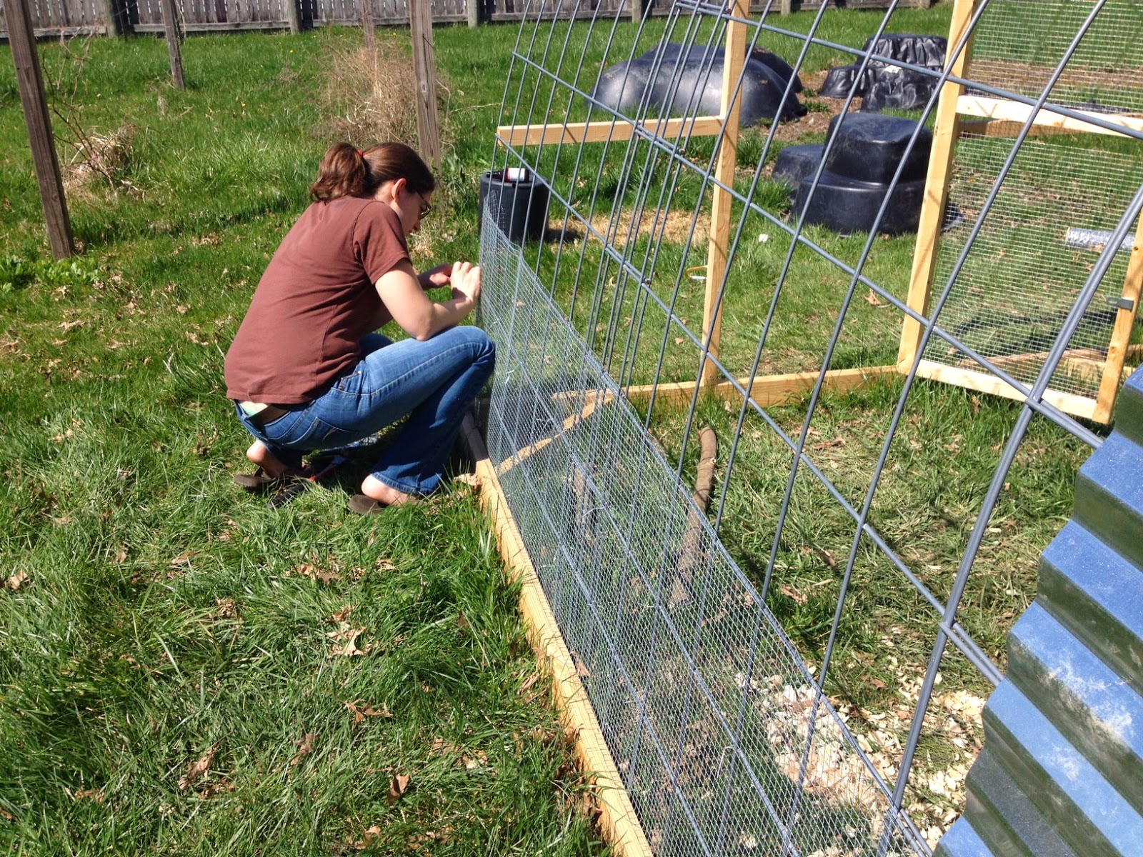 your nest box roof has a steep pitch on it or your chickens will hang    hardware cloth under chicken coop