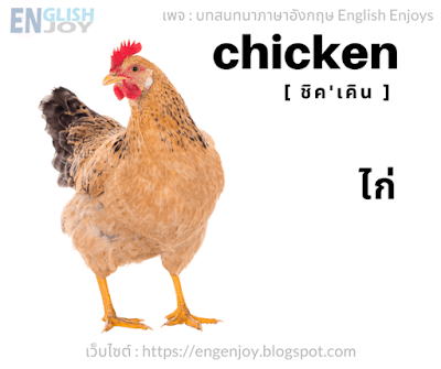 Chicken [ชิค'เคิน] - ไก่