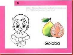 goiaba