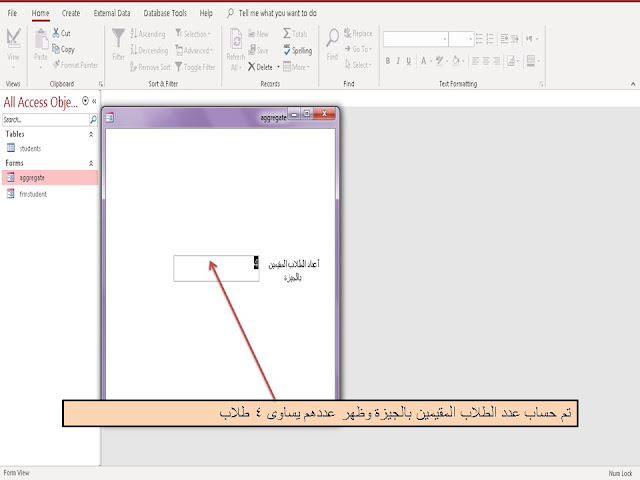 شرح دالة DCOUNT في برنامج  Ms access ميكروسوفت اكسس