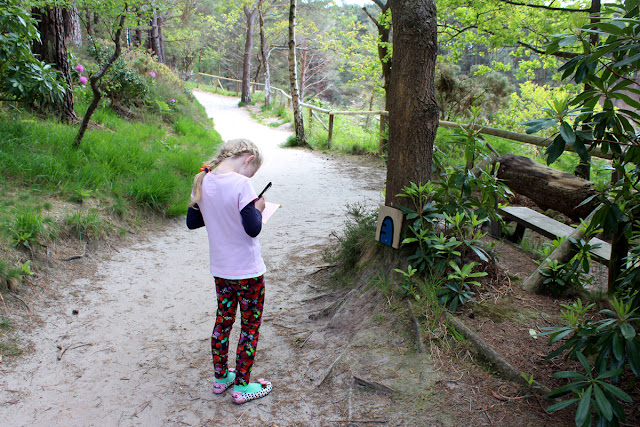 busy-girl, finding-treasures, todaymyway.com, countryside, forest-in-the-spring