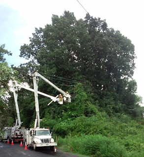 Taking the fallen tree limbs off the power lines.