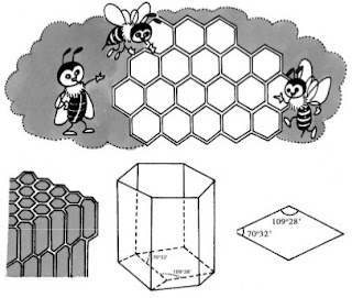 Kết cấu tổ ong; Hình lục giác; Lăng trụ lục giác đều.