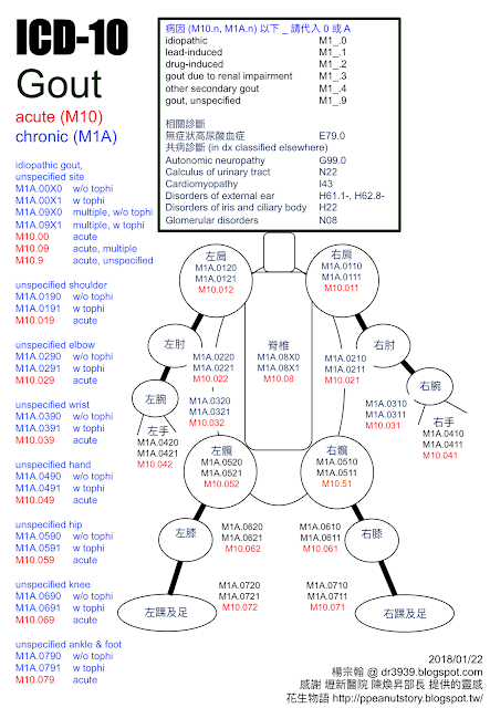 痛風 ICD 10 圖解攻略