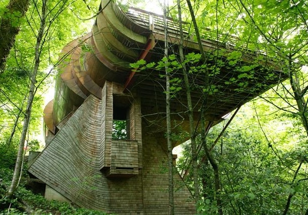 Tree Houses: World Most Amazing Tree Houses 