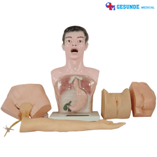 Manikin Training Alat Demo Sekolah Perawatan