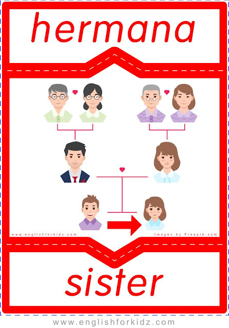 Sister English-Spanish flashcards for the family members topic