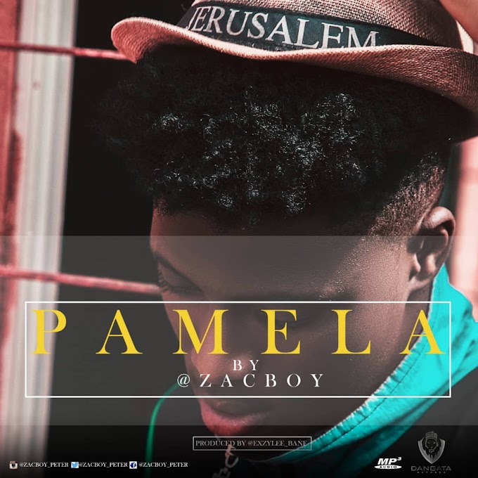 Zacboy — Pamela 