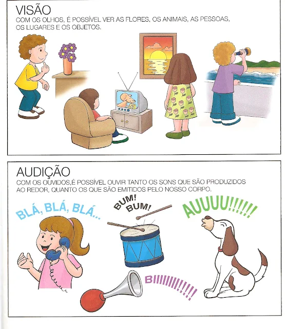 Os cinco sentidos educação infantil