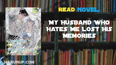 My Husband Who Hates Me Lost His Memories Novel