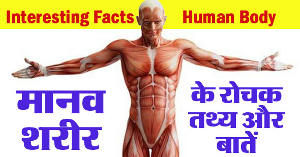 150+ मानव शरीर से संबंधित रोचक तथ्य और बातें