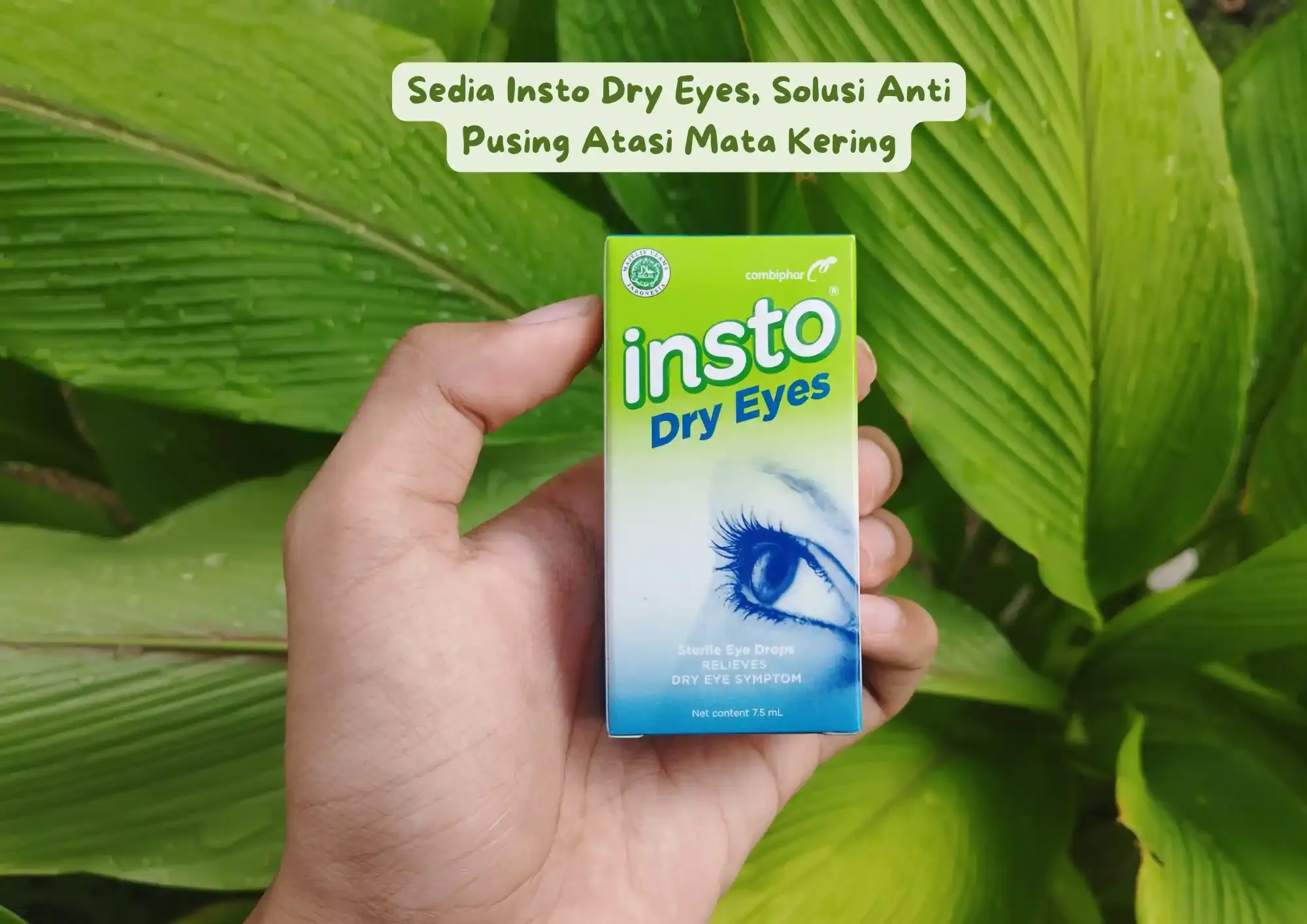 Insto Dry Eyes Solusi Mata Kering