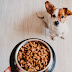 The Ultimate Guide to Choosing the Best Dog Food: A Comprehensive Review