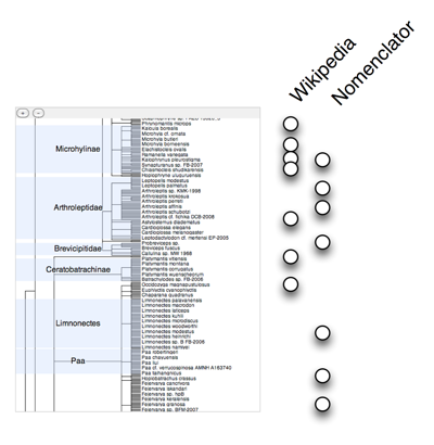 Ncbi 1