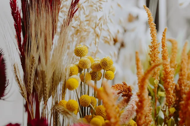Understanding the Eco-credentials of Dried Flower Crafts
