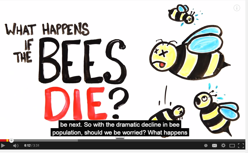  What happens if the bees die?