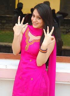 Aksha Cute Looking Photos In Pink Dress