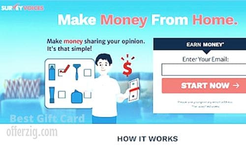 Make Money From Home,