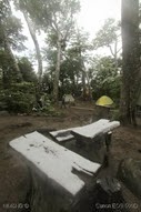 IMG_6207