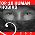 Top 10 Human Phobias 