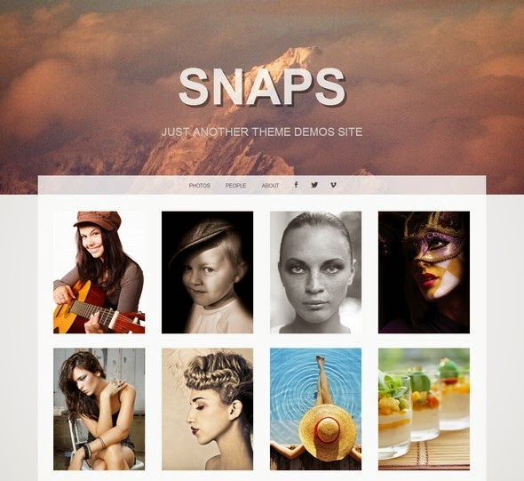 popular portfolio wordpress themes 