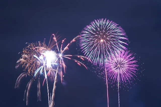 夜空を彩る花火～第27回東京湾大華火祭