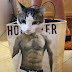 Funny Animals with Funny Bags 