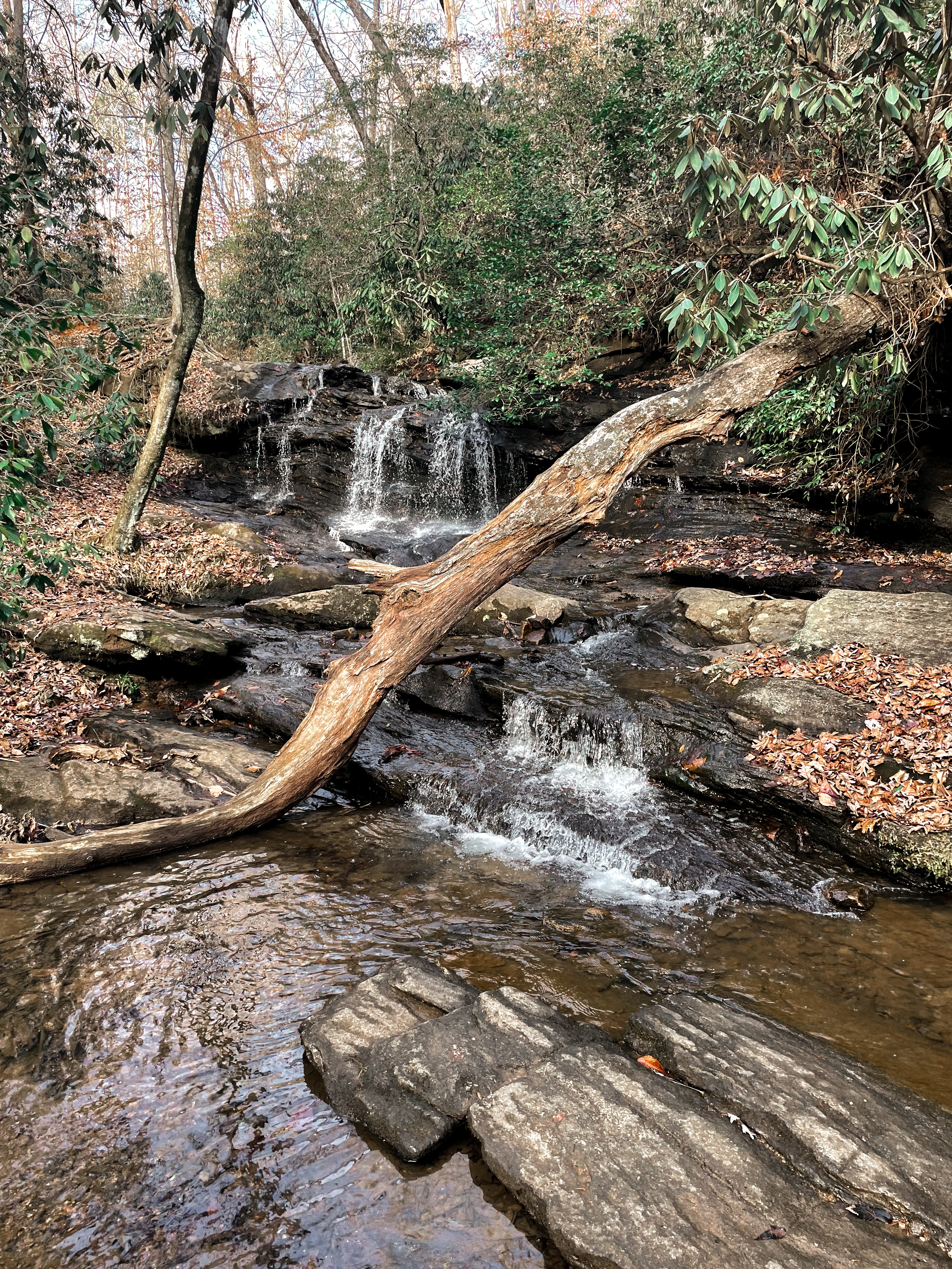 Leroy Smith Trail at Pleasant Ridge Park