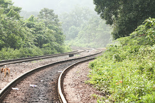 Dudhsagar Waterfall - Trek