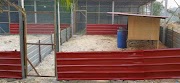 Ide 30+ Desain Kandang Ayam Pedaging Modern