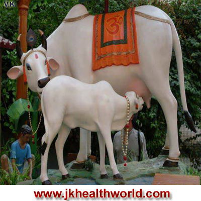 http://jkhealthworld.com/english/cow%20milk