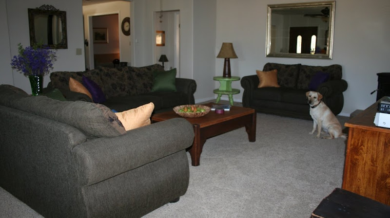 attractively furnished living room with large overstuffed green couches, cabana is sitting over on the side of the photo