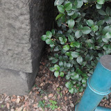 PC310034.JPG