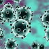 No evidence coronavirus was made in lab, China affirms WHO claim