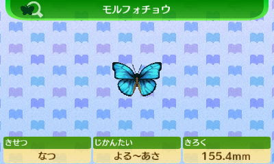 とびだせ どうぶつの森 モルフォチョウ