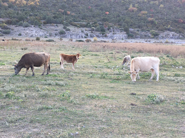 paraxeno pirouni, παράξενο πιρούνι