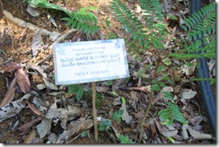 Tasik Kenyir 043