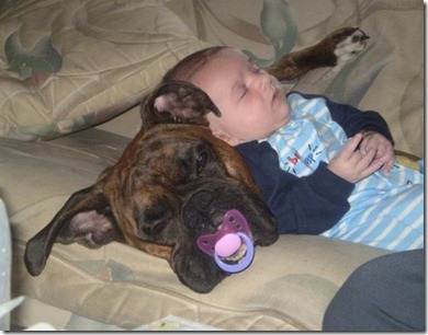 good night