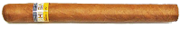 cohiba esplendidos