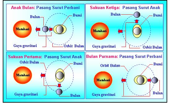 Inspirasi Istimewa Tenaga Dari Dalam Bumi Yang Mengakibatkan Naik Turunnya Air Laut Dan Daratan Disebut Dengan, Wisata Jawa Timur