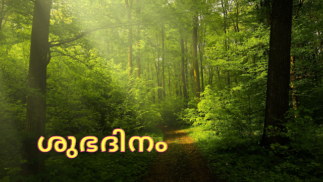 Malayalam Good Morning wishes,greetings,messages,HD images for facebook and whatsapp