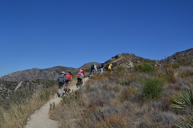 wide and well established trail