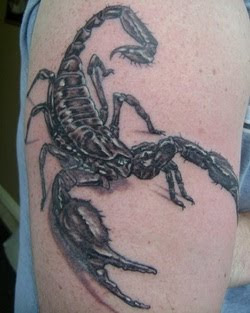 Japanese Scorpion Tattoo Design on Hand